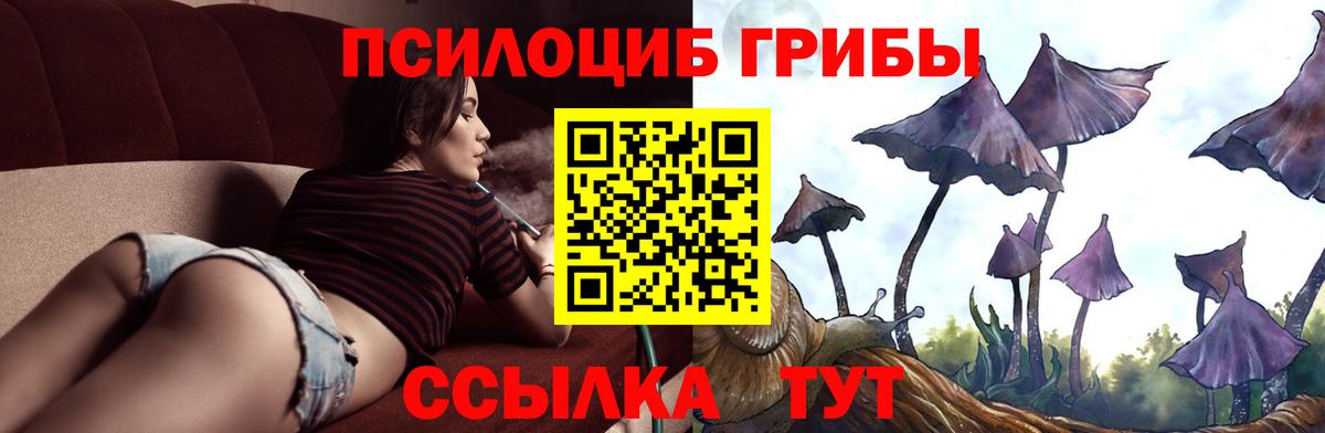 дарнет шоп  Псилоцибиновые грибы прущие грибы  Галлюциногенные грибы Magic Shrooms  Вход с VPN  Алушта 
